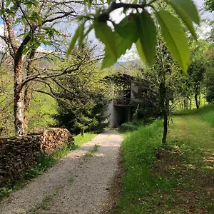 La Casa Nel Bosco - Brione Casa vacanze