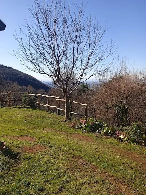 Holiday home Villetta In Collina Casa Calmas Brione